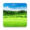 Relax Country