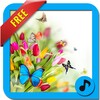 Relax Ringtones