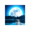Relaxing Music Sleep Sounds