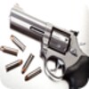 Revolver Simulator