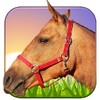 Ride Horse 3D