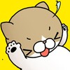 Roll Cat