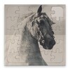 Rompecabezas De Caballos