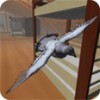 Roofy Bird