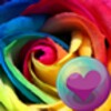 Roses HD Wallpapers
