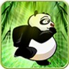 Run Panda Run