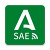 SAE. Servicio Andaluz De Empleo
