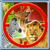 Safari Animal Hunting