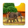 Safari Live Wallpaper