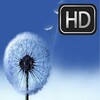 Samsung Wallpapers HD