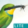 Sasol EBirds (Lite)