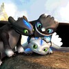 School Of Dragons