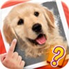 Scratch Quiz