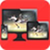 Screen Mirroring Screen