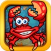 Sea Animal Puzzles