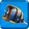 Sea Animals Live Wallpaper