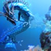 Sea Dragon Aqua Trial
