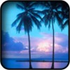 Sea Wallpapers