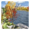 Season Fall Live Wallpaper