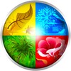 Seasons Spring Live Wallpaper