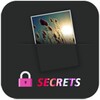Secret Gallery