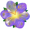 Serene Clock HD