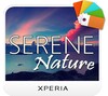 Serene Nature
