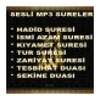 Seslisureiki