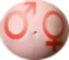 Sexo Do Bebe