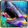 Shark Aquarium