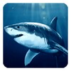 Shark Live Wallpaper