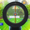Shooting Master 3D