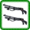 Shotgun 12