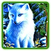 Silver Fox Slot