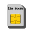 Sim Serial Number ( ICCID )