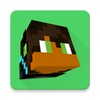 Skin Viewer