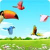 Sky Birds (free)
