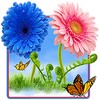 Sky Flowers HD (Free)