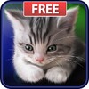 Sleepy Kitten Live Wallpaper