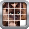 SliderMania Animals