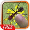 Smash And Kill Ants Bugs Free