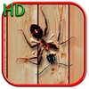 Smasher HD