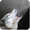 Smoking Wolf