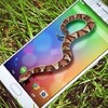 Snake On Screen 2018 New