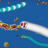 Snake Zone Cacing