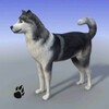 Snow Dog Simulator
