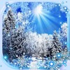 Snow N Sun Live Wallpaper