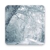 Snowfalling Live Wallpapers