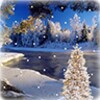 Snowy Snow