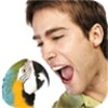Speak Perfect English - Basic